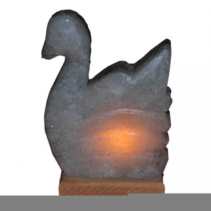 Kuğu Kaya Tuzu Lambası Çankırı 2-3Kg